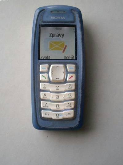 Nokia 3100