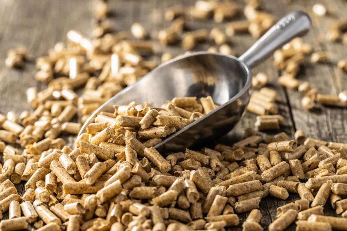 ENplus A1 Wood Pellets 