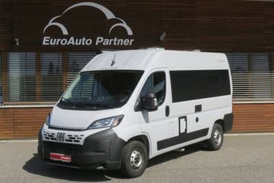 Fiat, nafta