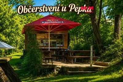 Prodej komerčního pozemku 804 m² s občerstvením Kácov