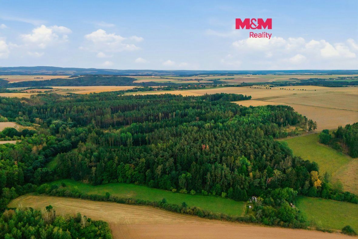 Prodej 1/4 lesa 3520 m2, Břežany u Rakovníka