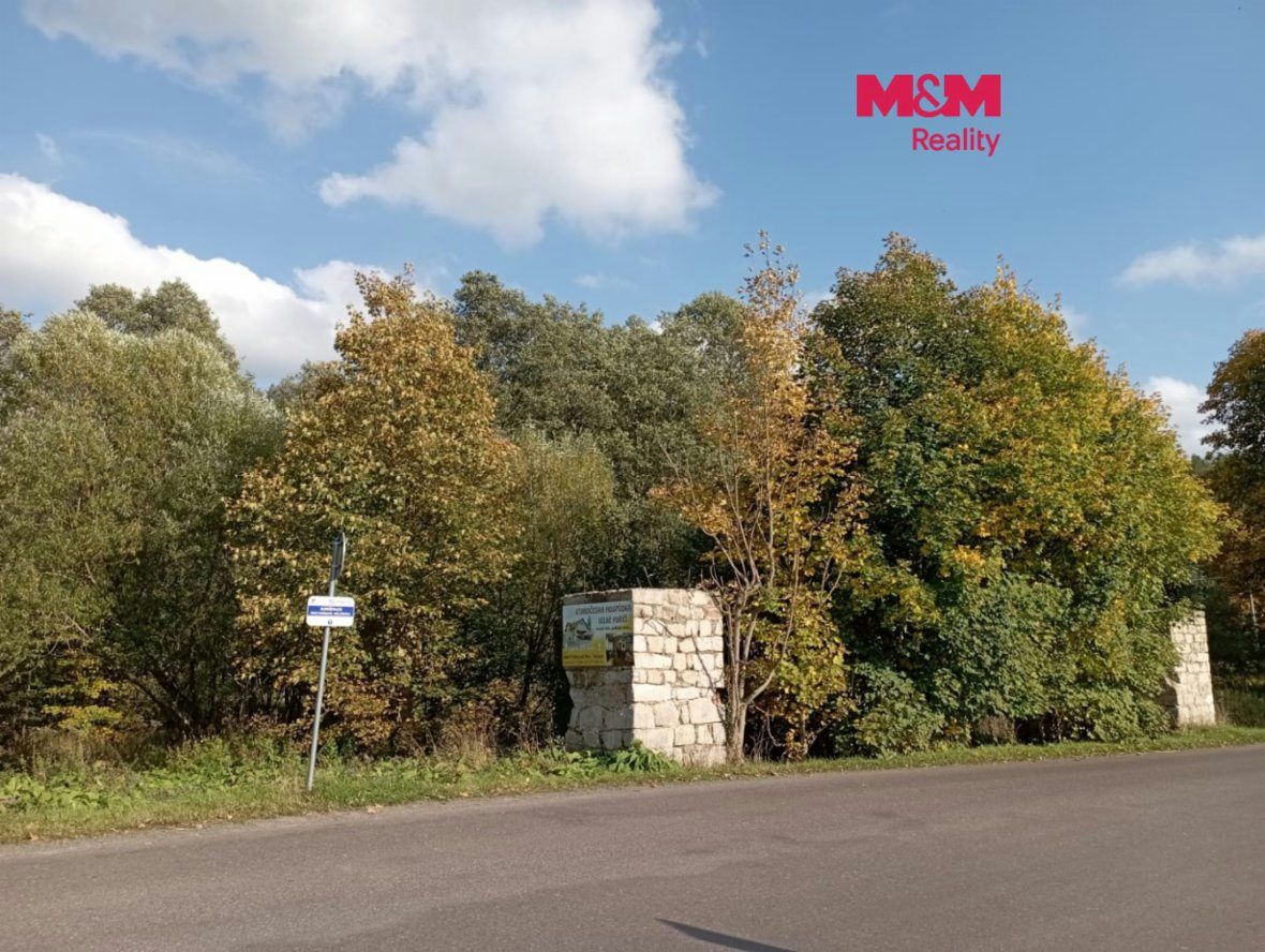 Prodej pozemku k bydlení, 9122 m², Dolní Adršpach