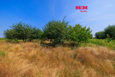 Prodej ovocného sadu, 12442 m², Rakvice