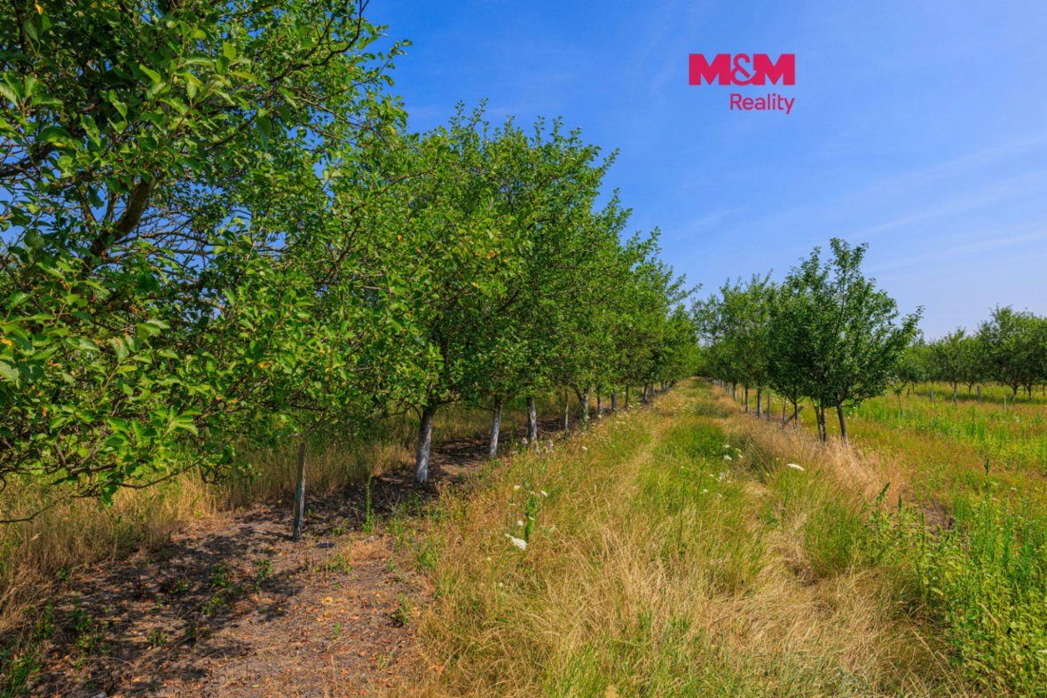 Prodej ovocného sadu, 53078 m², Rakvice