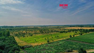 Prodej ovocného sadu, 123477 m², Rakvice
