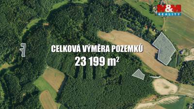 Prodej lesa, 23199 m², Všelibice