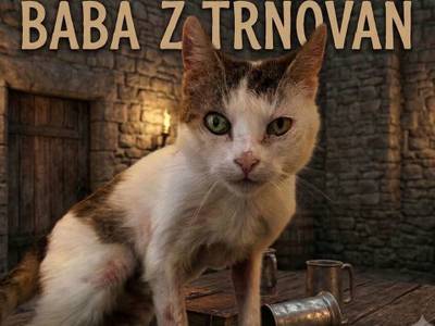 Kočka domácí