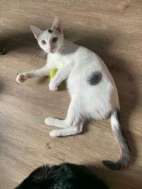 Náhled fotky 2