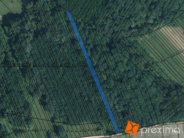 Prodej lesa 2484 m2
