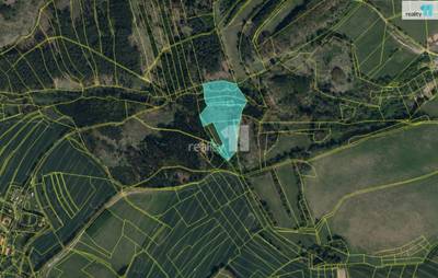Prodej pozemků, 19151 m2, Lohenice,