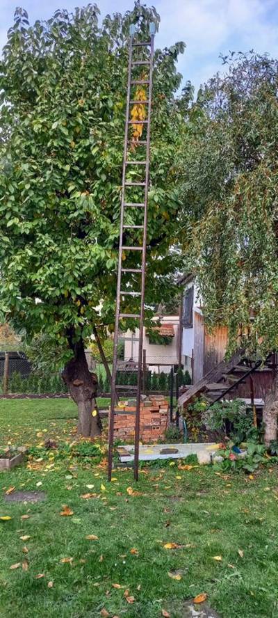 Starý dřevěný žebřík 680 cm