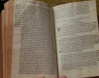 Kniha renesance Francie 1596