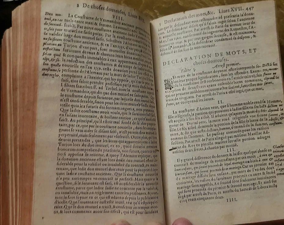 Kniha renesance Francie 1596
