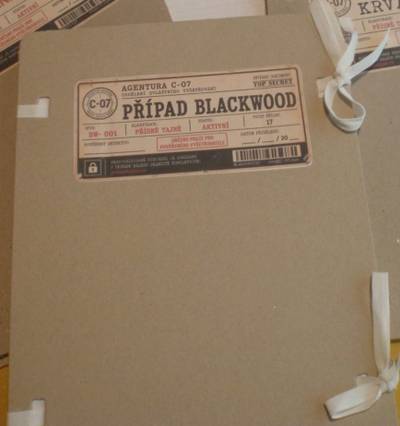 Detektivní hra Blackwood - AI výslechy