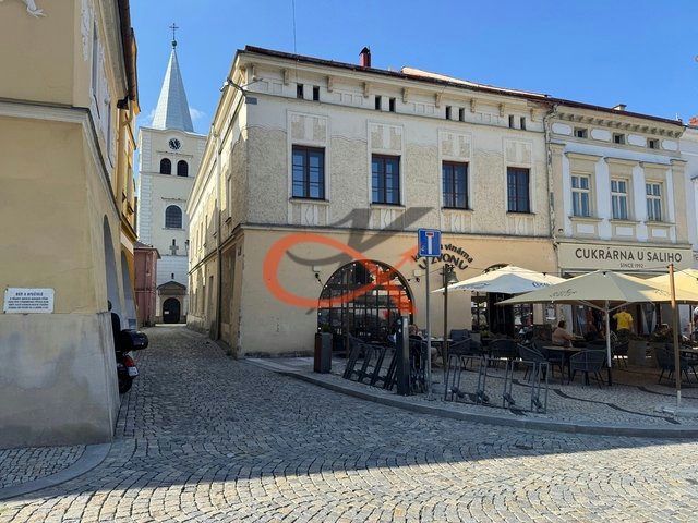 Pronájem prostorného bytu 1+1 v centru Valašského