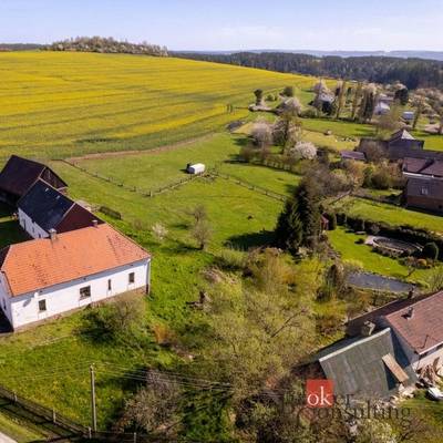 Prodej zemědělské usedlosti 150, Hvozd