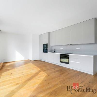 Pronájem bytu 3+kk 67, Praha.Nabízím k pronájmu