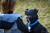 Náhled fotky 4