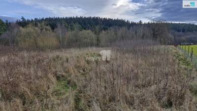 Prodej pozemku o 2983m2 ve Zlaté u