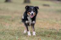 Náhled fotky 6