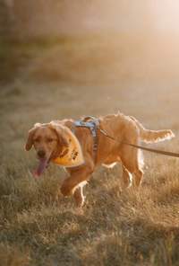 Náhled fotky 2