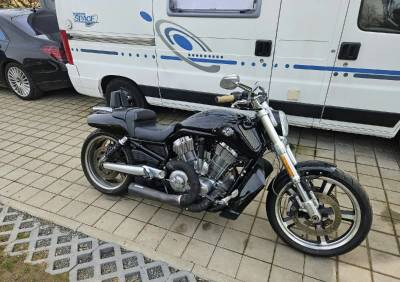 HARLEY DAVIDSON V-rod muscle 2009