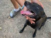 Náhled fotky 2