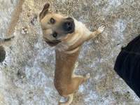Náhled fotky 4