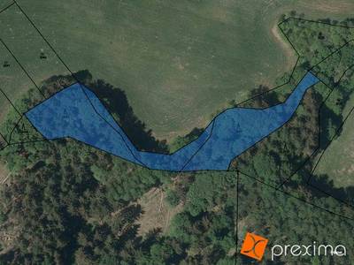Prodej 1/4 pozemků 4299 m2