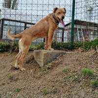 Náhled fotky 1