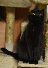 Náhled fotky 8