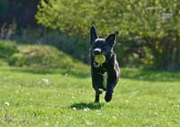 Náhled fotky 8