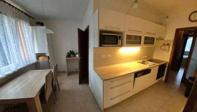 Vybavený a zrekonstruovaný byt 2+1 60 m² v Doběticích
