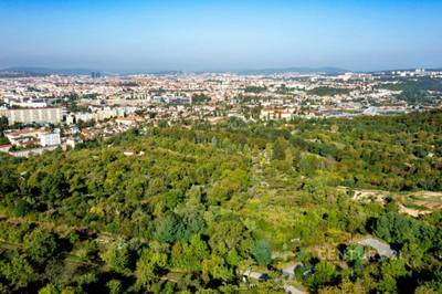 Prodej stavebního pozemku 2 004 m2 - Brno, Vinohrady