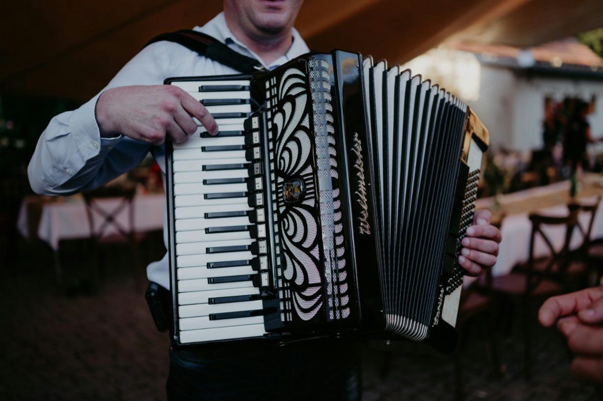 Harmonikář na svatbu, oslavu, ...