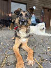 Náhled fotky 1
