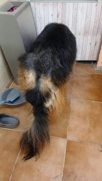 Náhled fotky 18