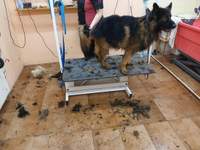 Náhled fotky 9