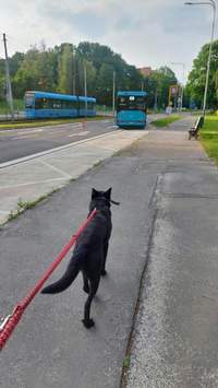 Náhled fotky 20