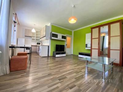 PRONÁJEM ČÁSTEČNĚ VYBAVENÉHO BYTU 1+KK, 34 M², KONICE