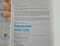 Náhled fotky 2